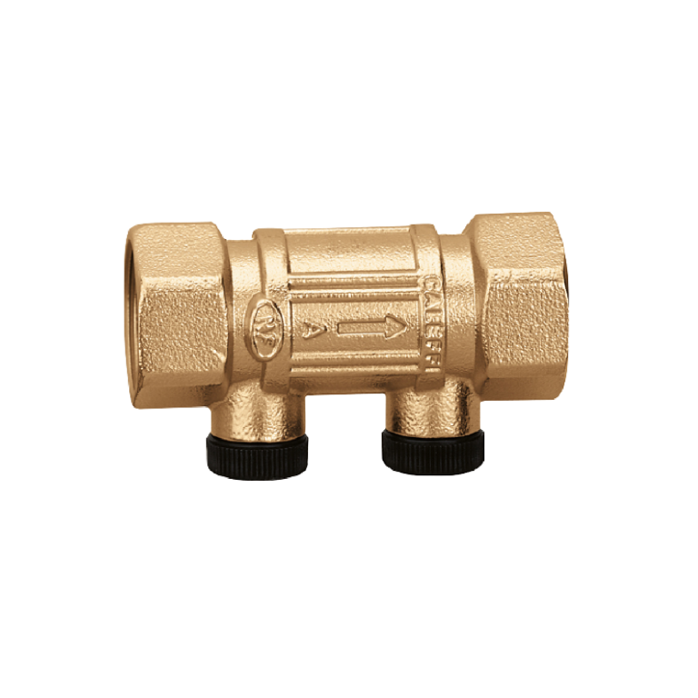 Check valve. Female connections. Controllable